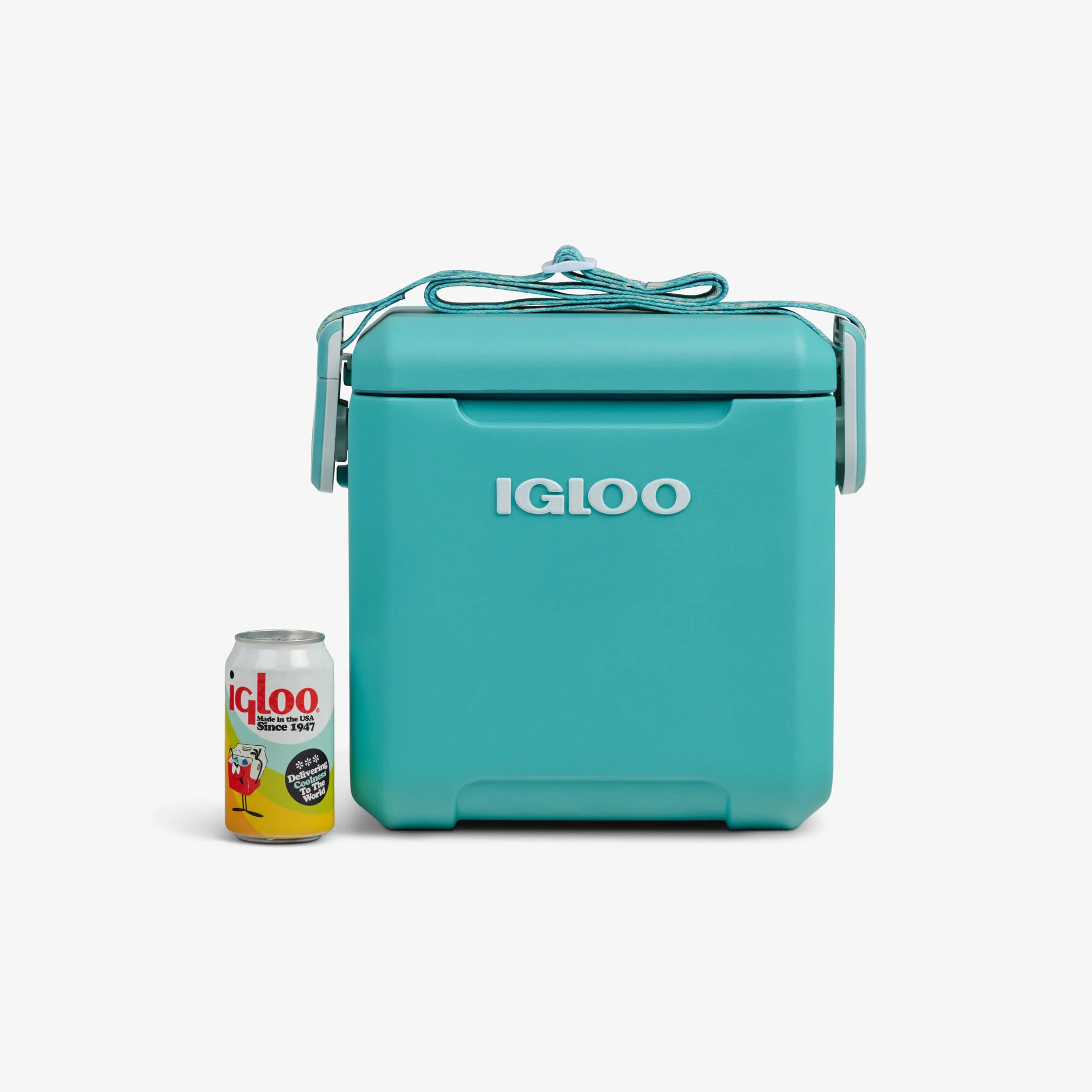 Tag Along Too Remix Cooler - Image 13